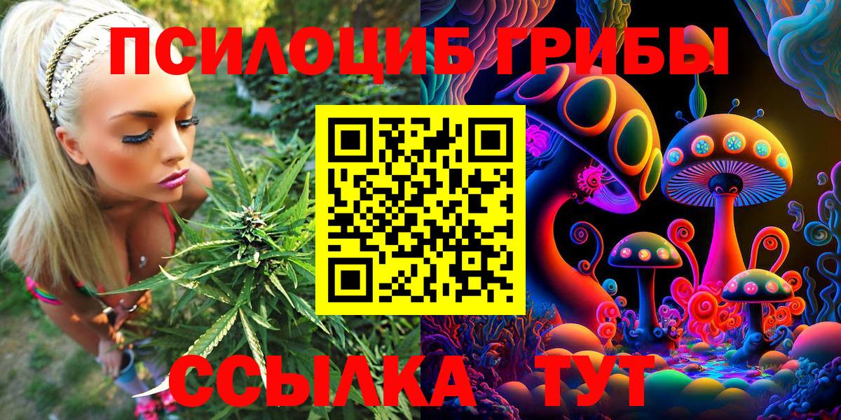 Псилоцибиновые грибы прущие грибы  Псилоцибиновые грибы Psilocybe  Вход с VPN  Пермь 